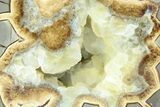 Crystal Filled Septarian Geode Bookends - Utah #184584-2